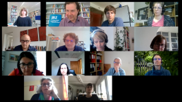 screenshotonlienmeeting